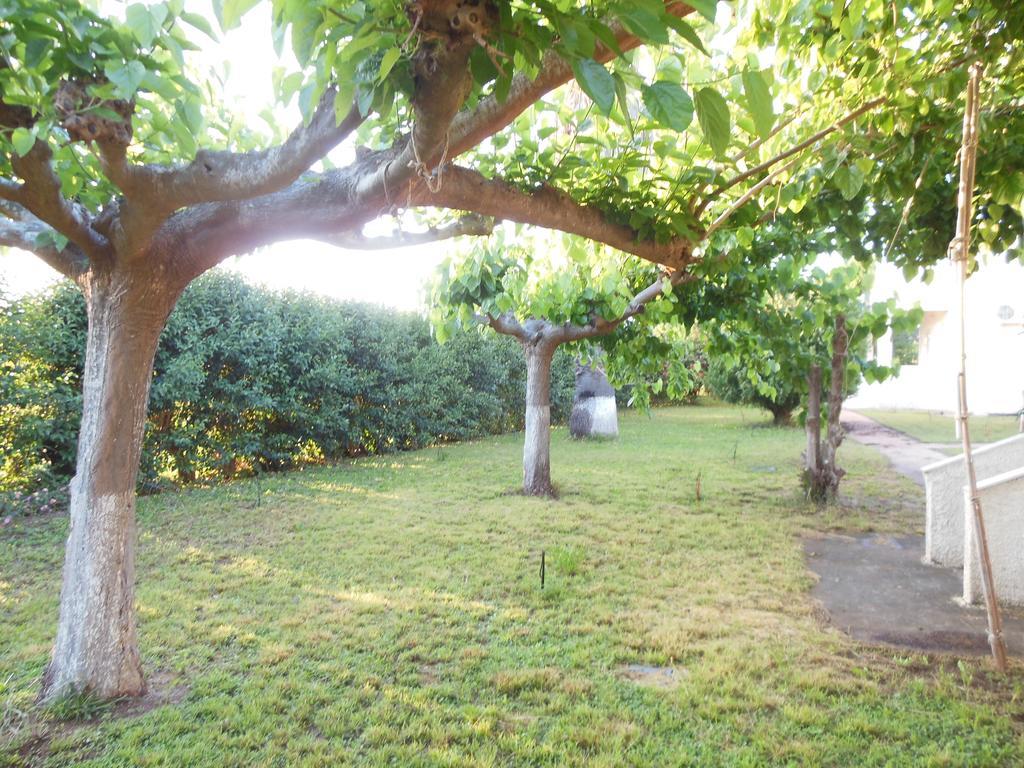 Helonata Apartments Arkoudi Luaran gambar