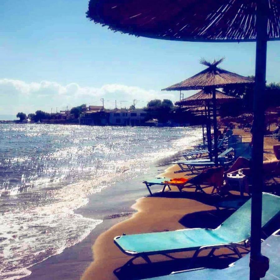 Helonata Apartments Arkoudi Luaran gambar